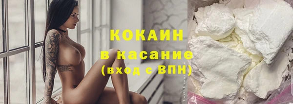 крисы Инсар