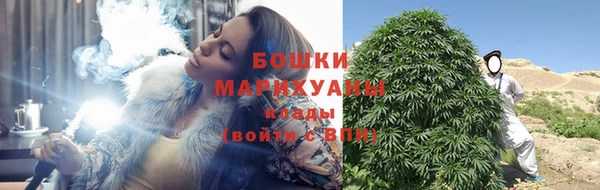 крисы Инсар